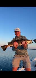 Gator Trout 