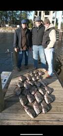Sheepshead Fishing