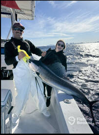 Two sailfish and two sharks!