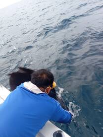 Herradura Report Photo 2