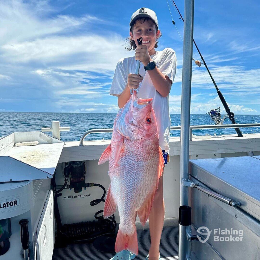 Port Douglas Report Photo 0