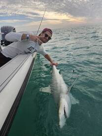 3hr shark trip guarantee 