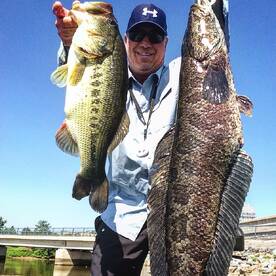 Snakehead mistakes 