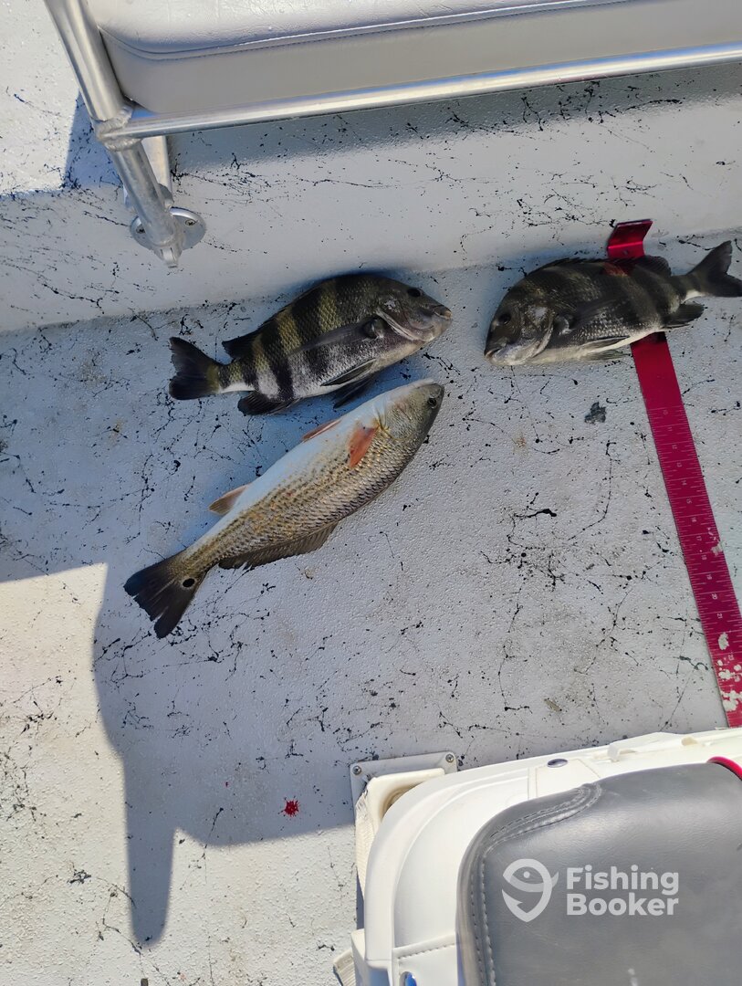 Port Aransas Report Photo 0