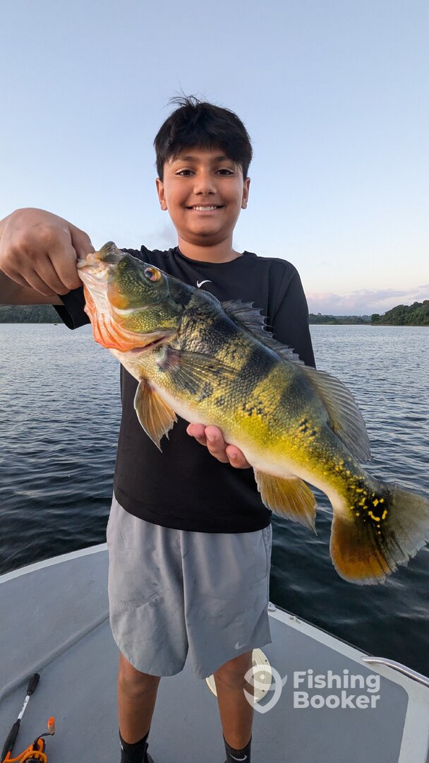Gamboa Report Photo 0