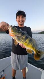 Summer  on gatun lake