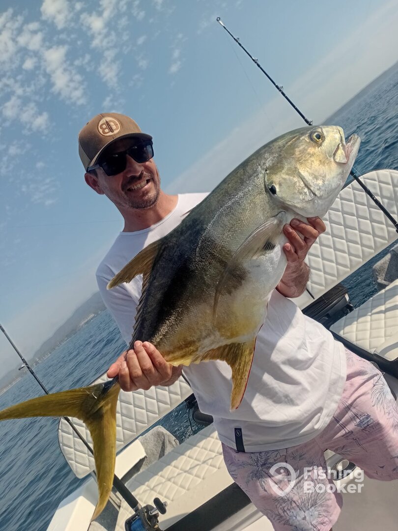 Puerto Vallarta Report Photo 0