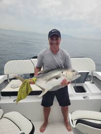 A FAMILY FISHING TRIP, WHALES & DOLPHINS