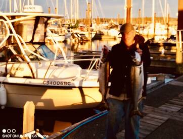 Campbell River Report Photo 1