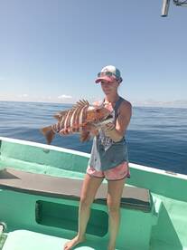 Sierpe Report Photo 1