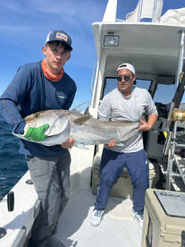 Naples Report Photo 2