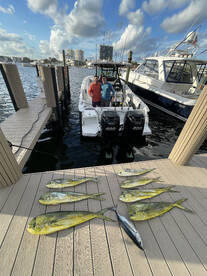 Coconut Grove Report Photo 4