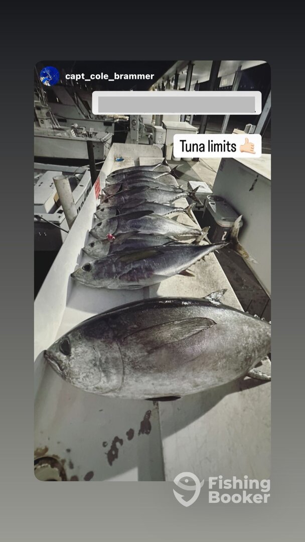 Key West Report Photo 0