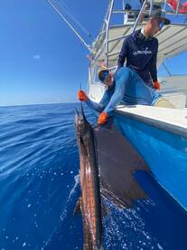 Billfish season is here 