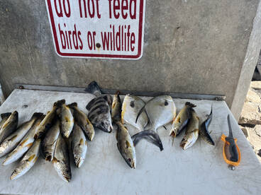 Port Orange Report Photo 2