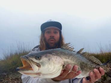 The cooler weather Mix of fish  