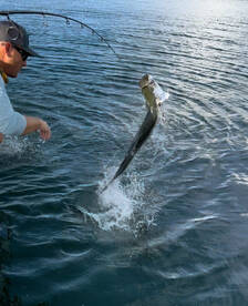 Cooler weather is producing red hot fish