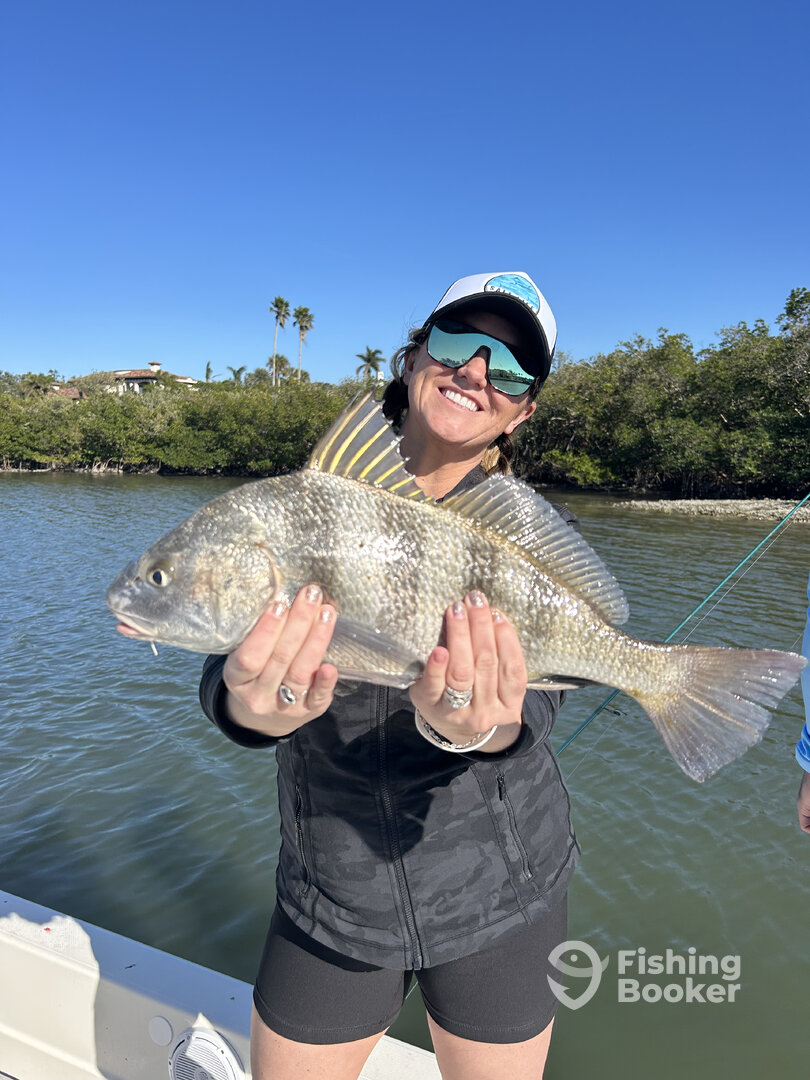 Clearwater Report Photo 0