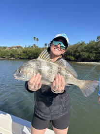 Grouper, trout, and snapper bite has bee