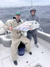 Nice Exotic On a Cold Rainy Day