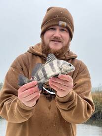 Mount Pleasant Report Photo 2