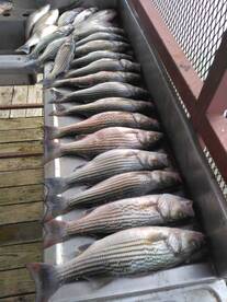 Great afternoon trip