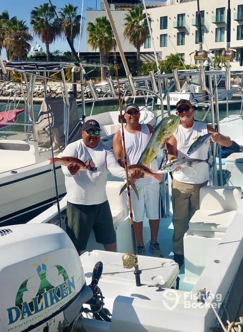 San Jose del Cabo Report Photo 0