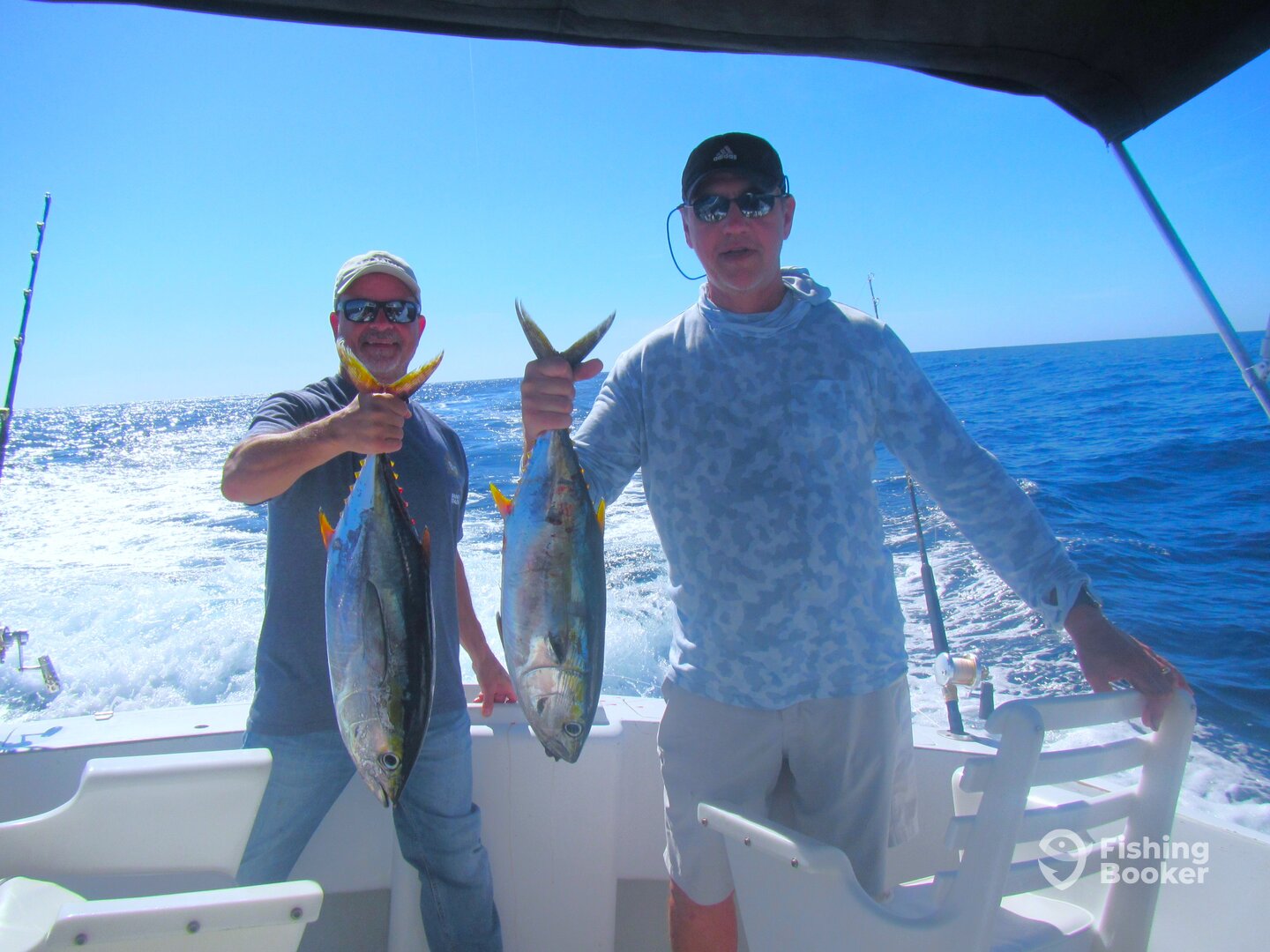 Cabo San Lucas Report Photo 0