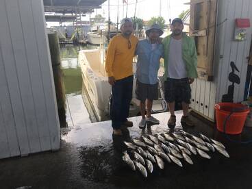 Galveston Report Photo 1