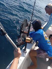 Herradura Report Photo 1