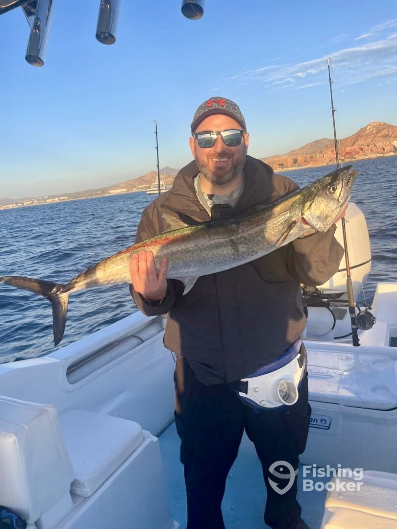 San Jose del Cabo Report Photo 0