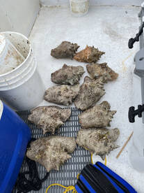 North Sound Estates Report Photo 2