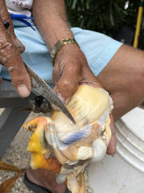 North Sound Estates Report Photo 1