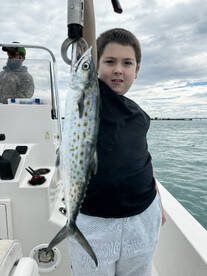 Islamorada Report Photo 1