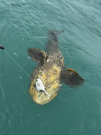Islamorada Report Photo 1