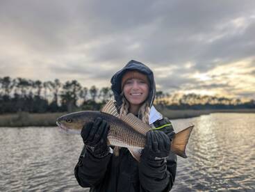 Jacksonville Report Photo 1