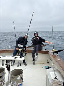 Cold weather means sailfish bites!