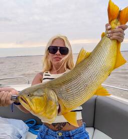 Buenos Aires Report Photo 2