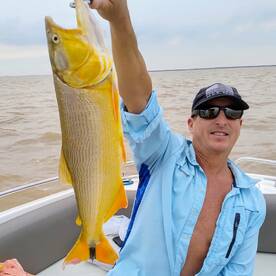 Golden dorados, the dream come true