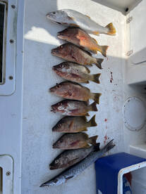 Herradura Report Photo 2