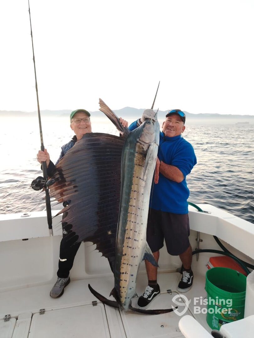 Puerto Vallarta Report Photo 0