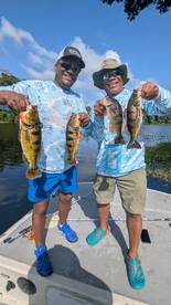 Gamboa Report Photo 2