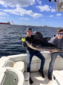 South bound SAILFISH!