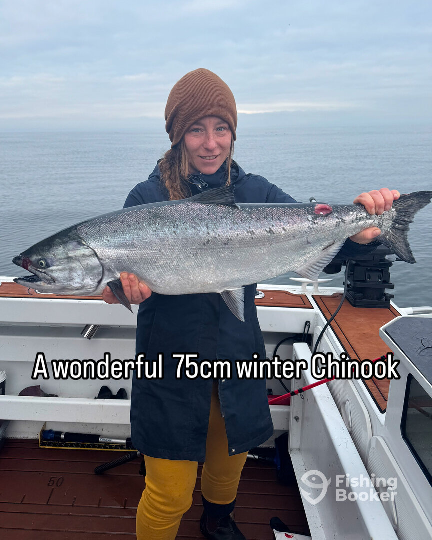 Gabriola Report Photo 0