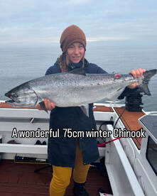 Winter chinook