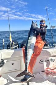 Wahoo are here to play!!