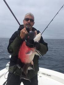 Santa Barbara Island Rockfishing