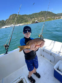 Herradura Report Photo 2