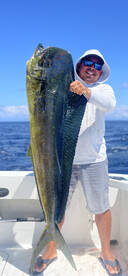 Great day 2 pez velas 1 dorado