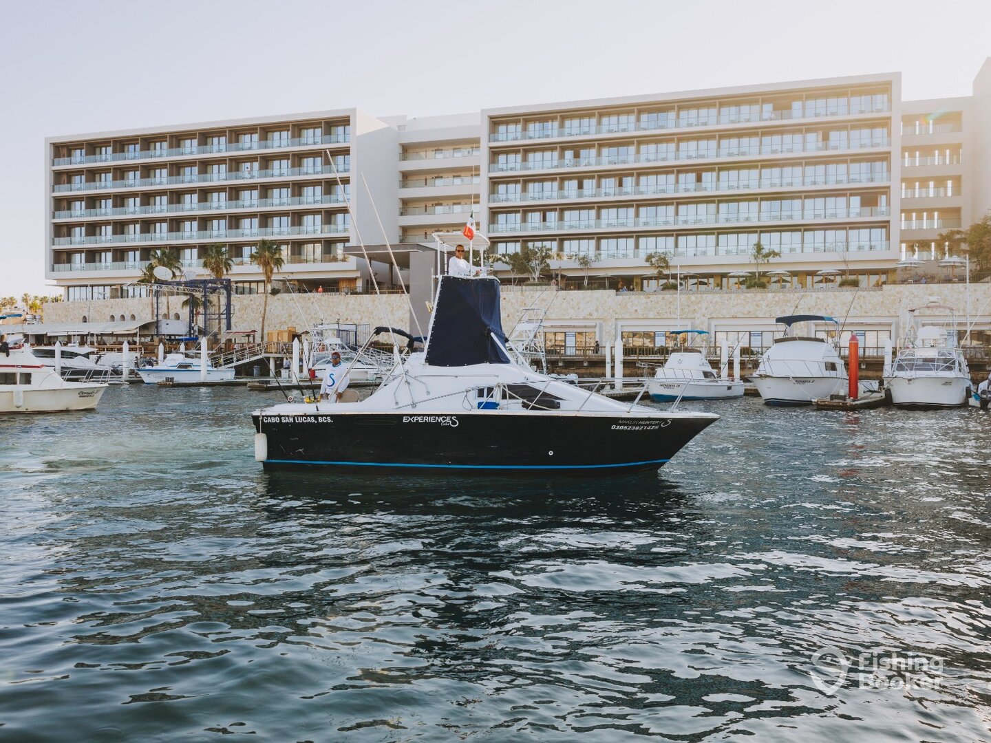 Cabo San Lucas Report Photo 0